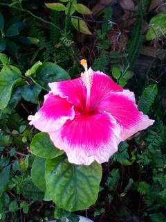 image-20120131163252.png