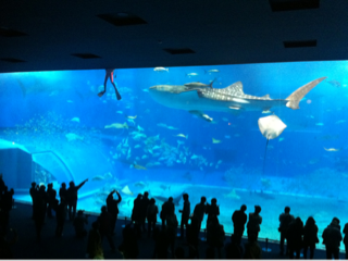 image-20120215191116.png