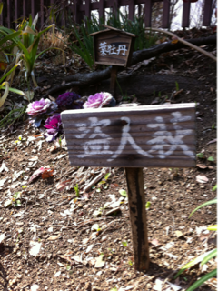 image-20120316174904.png