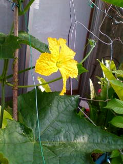 image-20120319122508.png