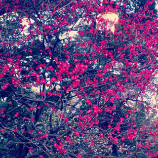 image-20120327145251.png