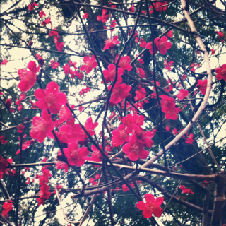 image-20120327145301.png