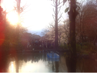 image-20120408162522.png