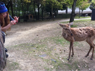 image-20120504181957.png