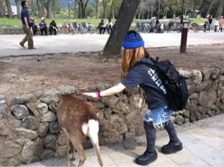 image-20120504182054.png