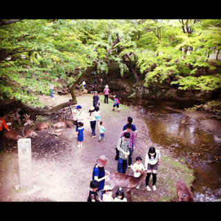 image-20120504182701.png