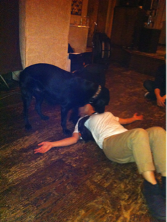 image-20120515185109.png