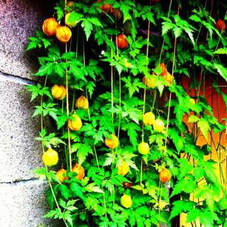 image-20120606163309.png
