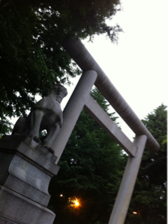 image-20120607192424.png