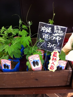 image-20120608014544.png