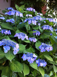 image-20120617141509.png