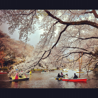 image-20120617141807.png