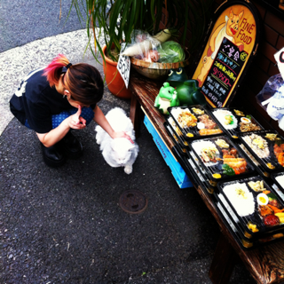 image-20120630114946.png