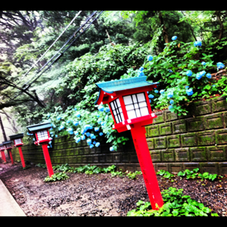 image-20120730182145.png