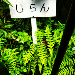 image-20120730182201.png