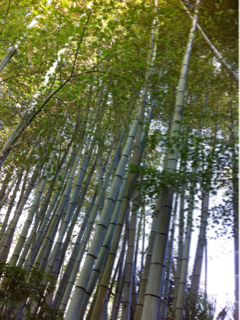 image-20120903172934.png