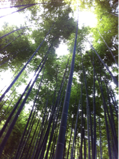 image-20120903172955.png