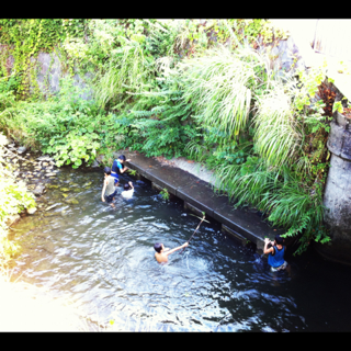 image-20120903183504.png