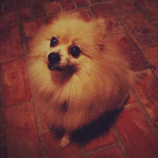 image-20120929190130.png
