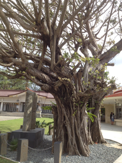 image-20121023150252.png