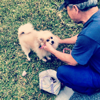 image-20121024231852.png