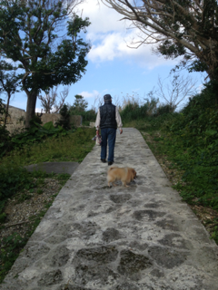image-20130114121133.png