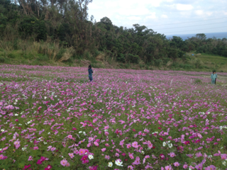 image-20130114121353.png