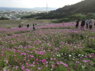 image-20130114121411.png