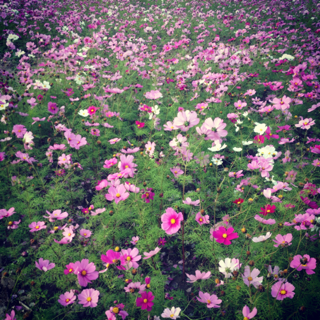 image-20130114121440.png