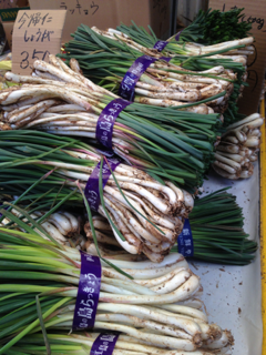 image-20130115080642.png