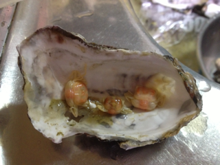 image-20130115081857.png