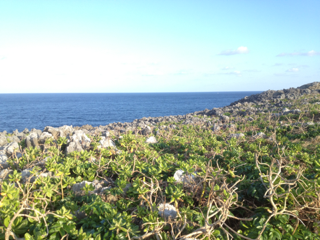 image-20130116190818.png
