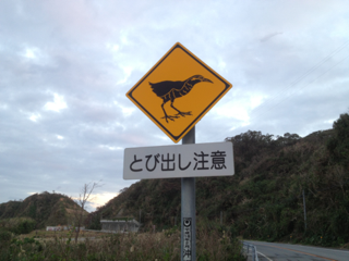 image-20130116191137.png