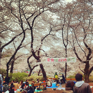 image-20130117155600.png