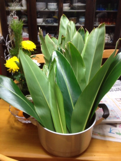 image-20130118124600.png