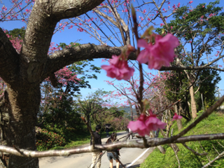 image-20130120141217.png