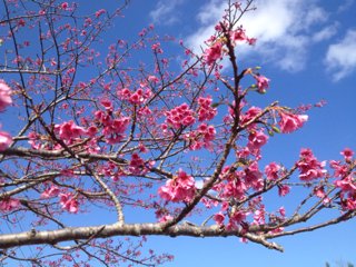 image-20130120141244.png