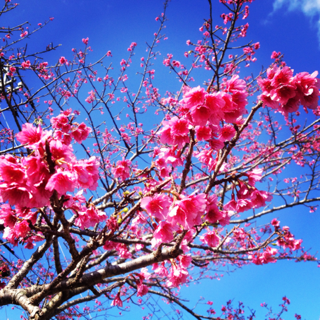 image-20130120141323.png