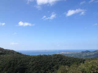 image-20130120141449.png