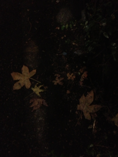 image-20130123104446.png