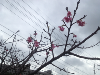image-20130202121614.png