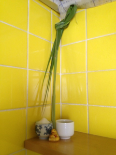 image-20130204141208.png