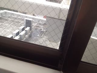 image-20130209064554.png