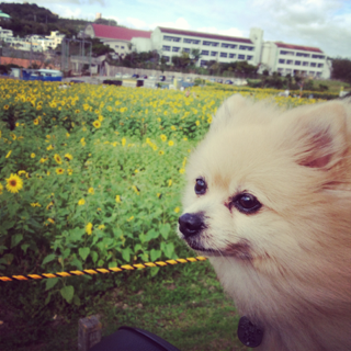 image-20130227153356.png