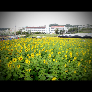 image-20130227153454.png