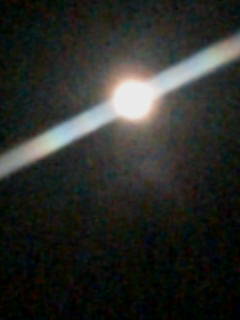 20070601225010.jpg