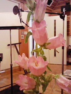 200804221335000.jpg