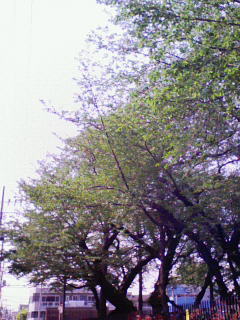 200804221329000.jpg