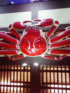 200804251858000.jpg