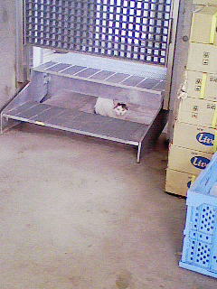 200804191500000.jpg